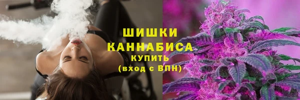 шишки Балахна