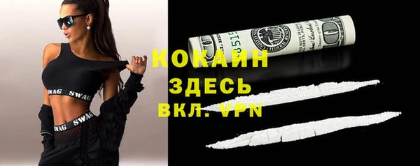 шишки Балахна