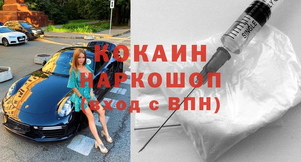шишки Балахна