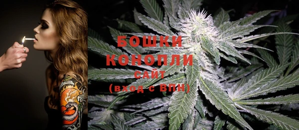 крисы Арсеньев