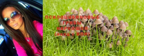 MESCALINE Баксан