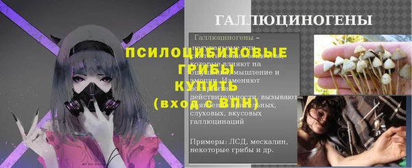 шишки Балахна